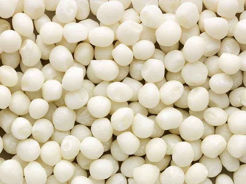 Weiße Gumbase Granulate aus einer Gumbase Compoundier-Anlage